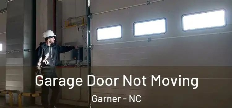  Garage Door Not Moving Garner - NC